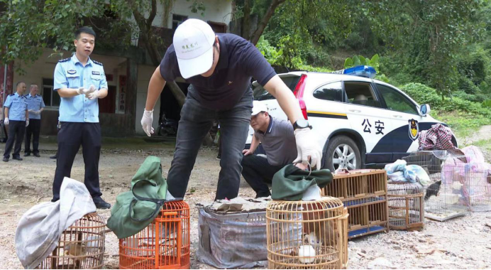 政务微信截图_16922334363291.png 图片