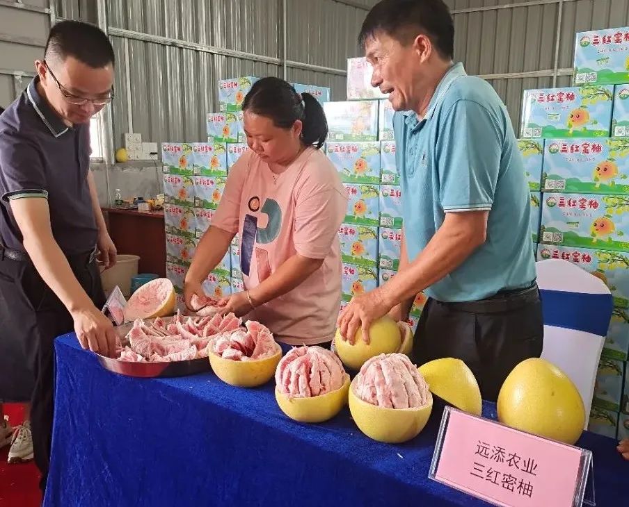 微信图片_20230913183010.jpg 图片