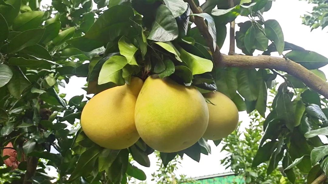 微信图片_202309140839391.jpg 图片