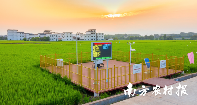 韶关市南雄市湖口镇承平村高标准农田示范项目