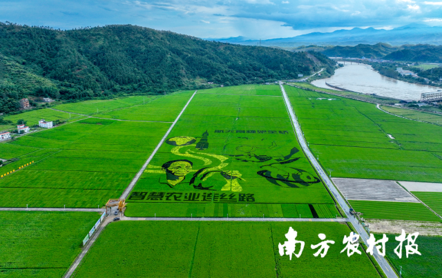 河源市东源县柳城镇东源万绿智慧无人农场