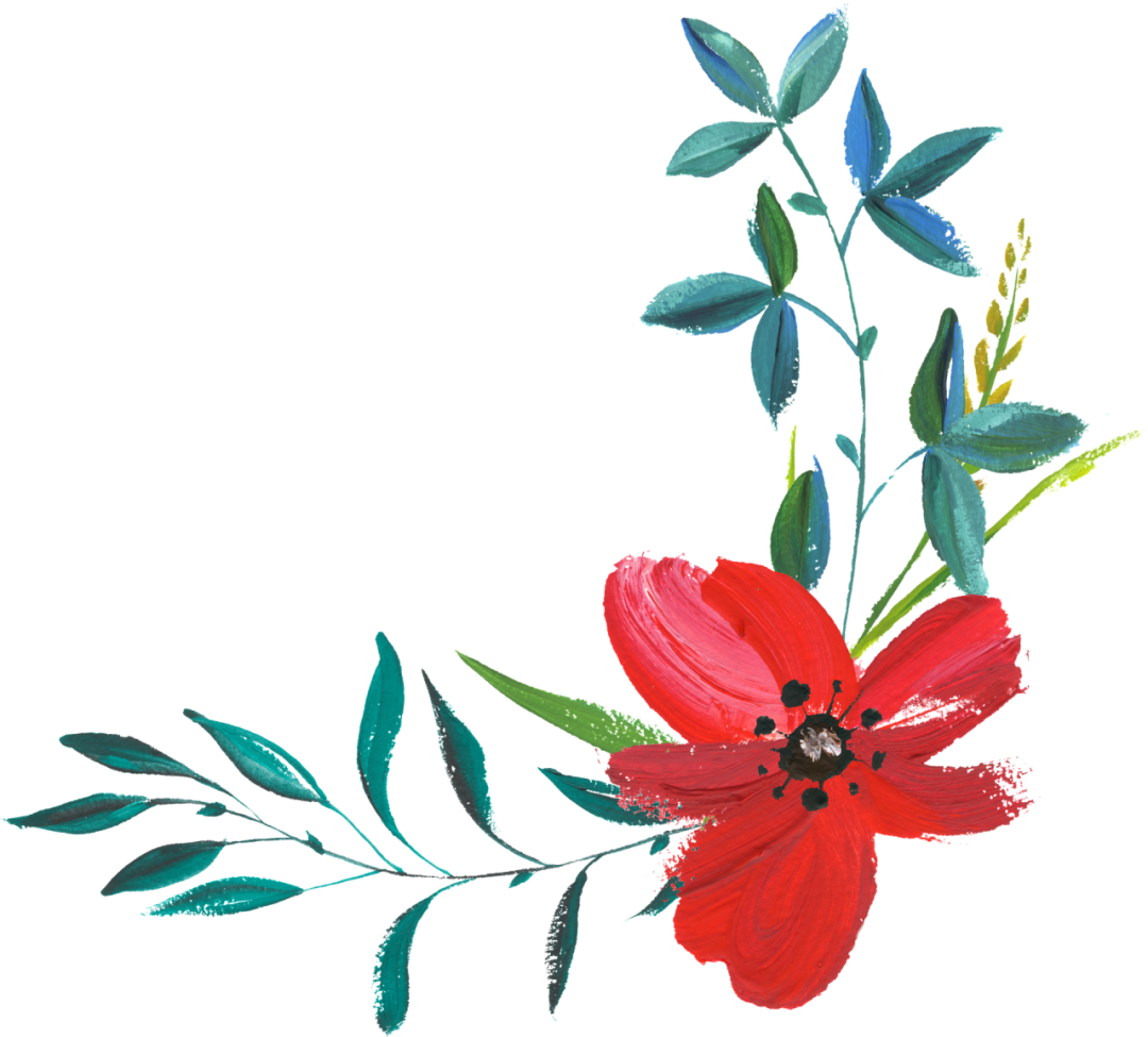 水彩花.png 图片