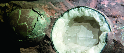 河源市恐龙博物馆