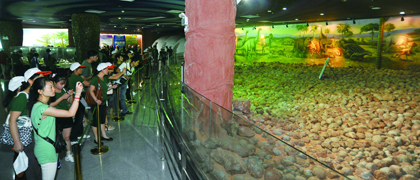 河源市恐龙博物馆