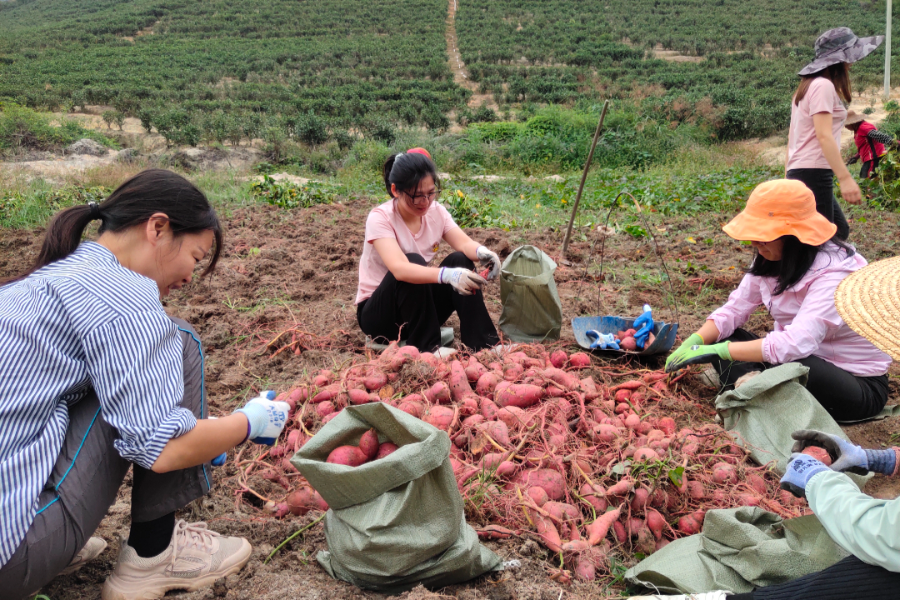 微信图片_20211108105104.jpg 图片