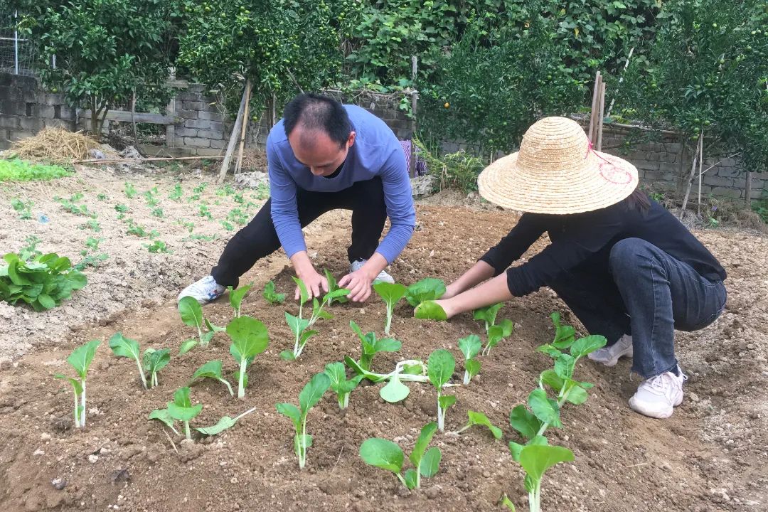 微信图片_20211108105132.jpg 图片