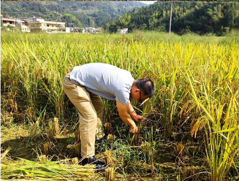 a8d4f8bc41f279fe583697565b80d1e.png 图片