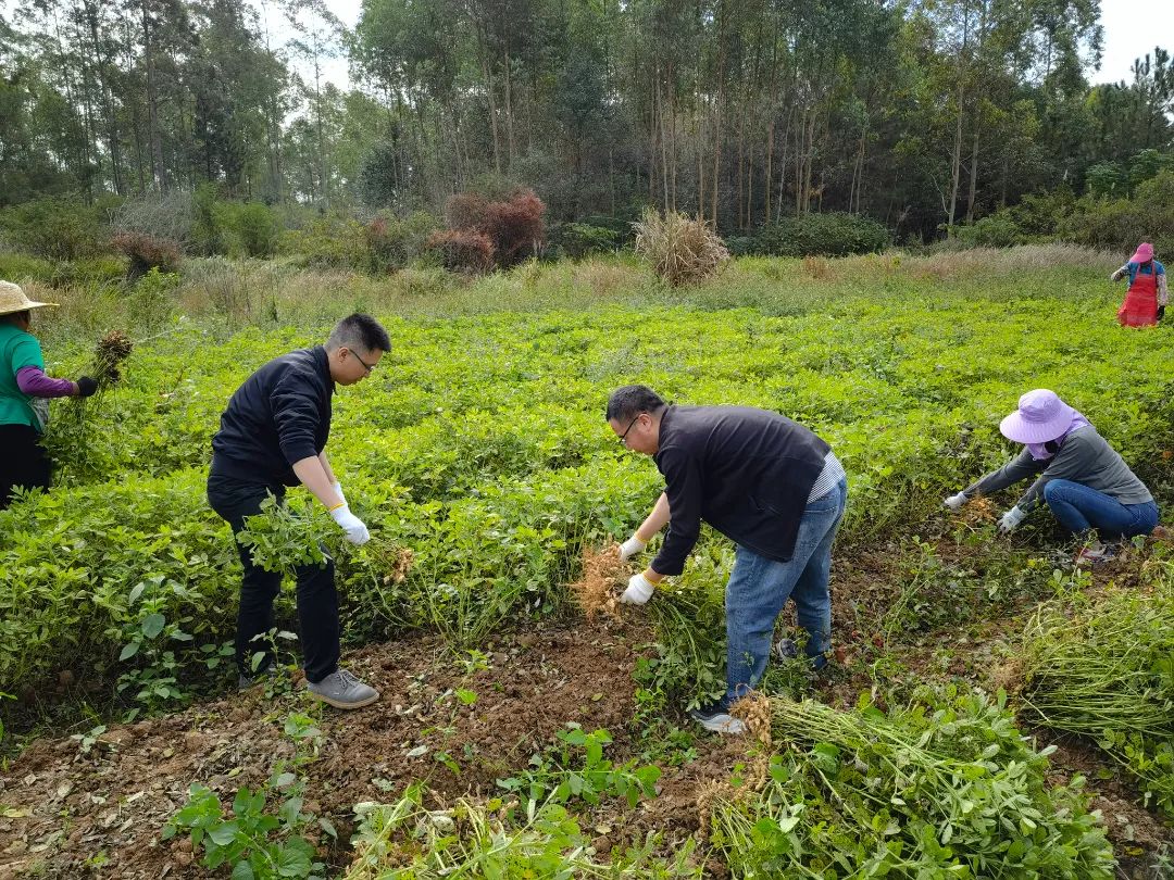 微信图片_202111241550385.jpg 图片