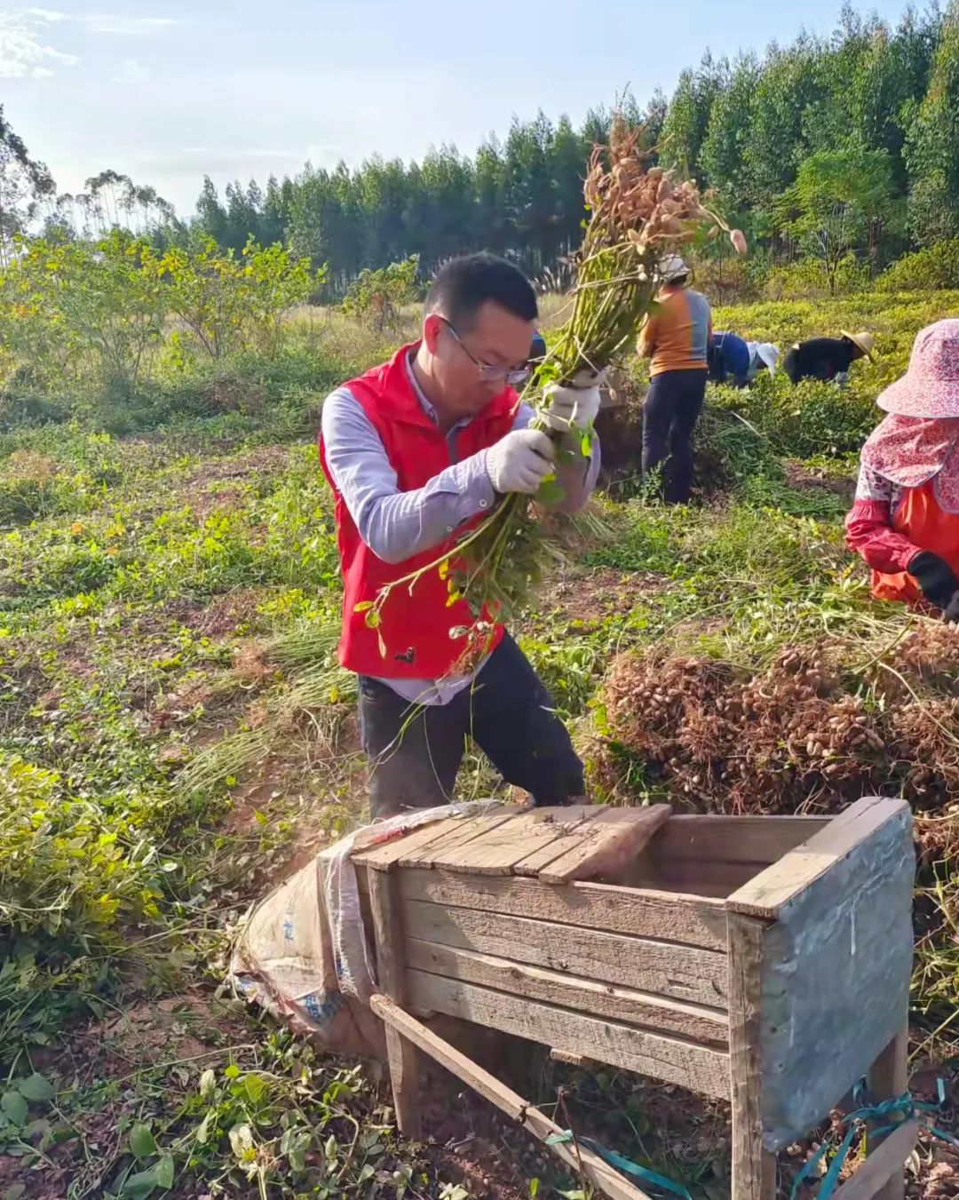 微信图片_2021112415503811.jpg 图片