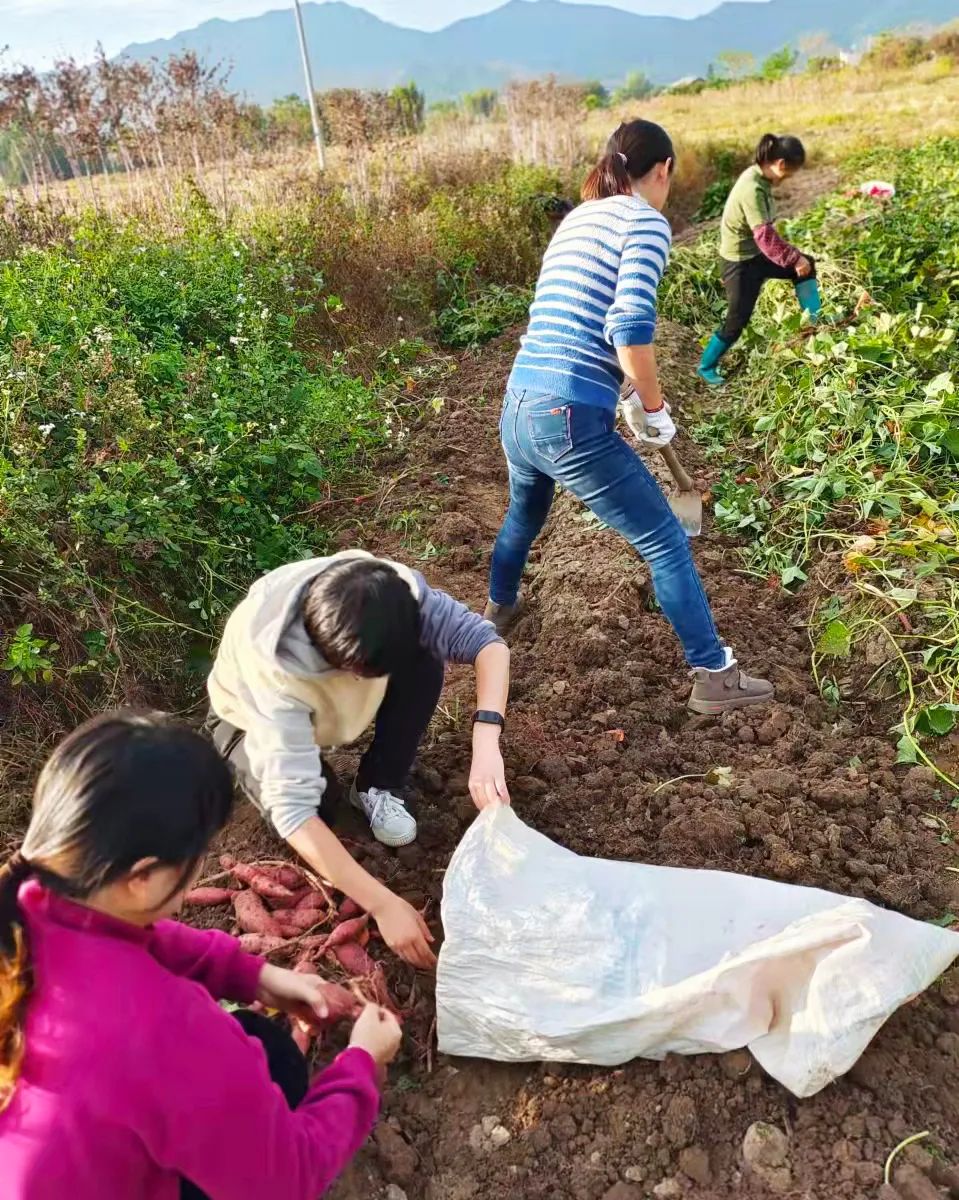 微信图片_2021112415503819.jpg 图片