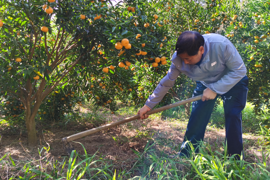 微信图片_202112031133511.jpg 图片