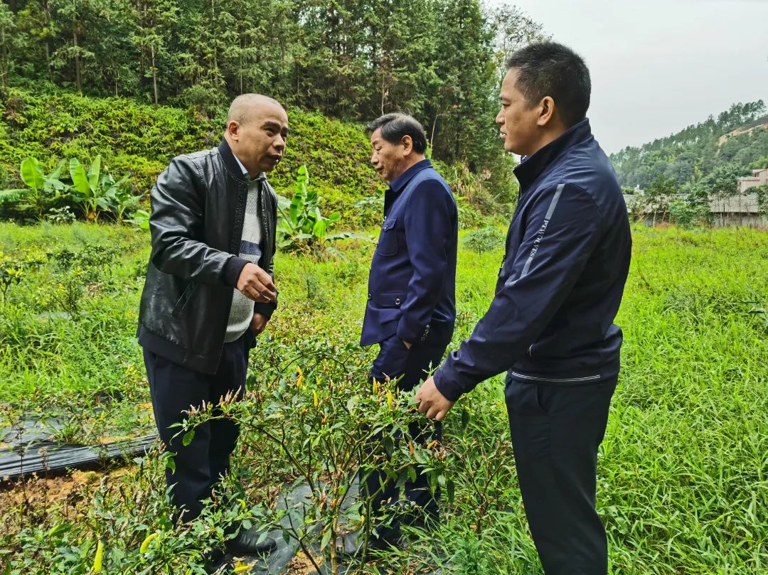 微信图片_202112031133529.jpg 图片