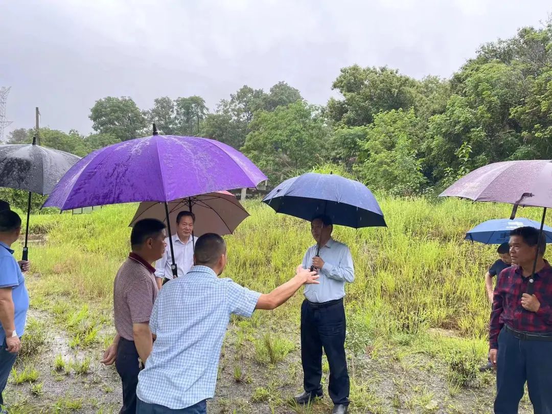 9c0ff80ec3cb93874ce1109d031b9e7.jpg 图片