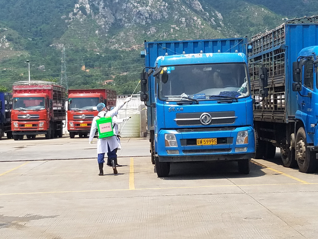 1568187028896042193.jpg C:UsersPPAPDesktop