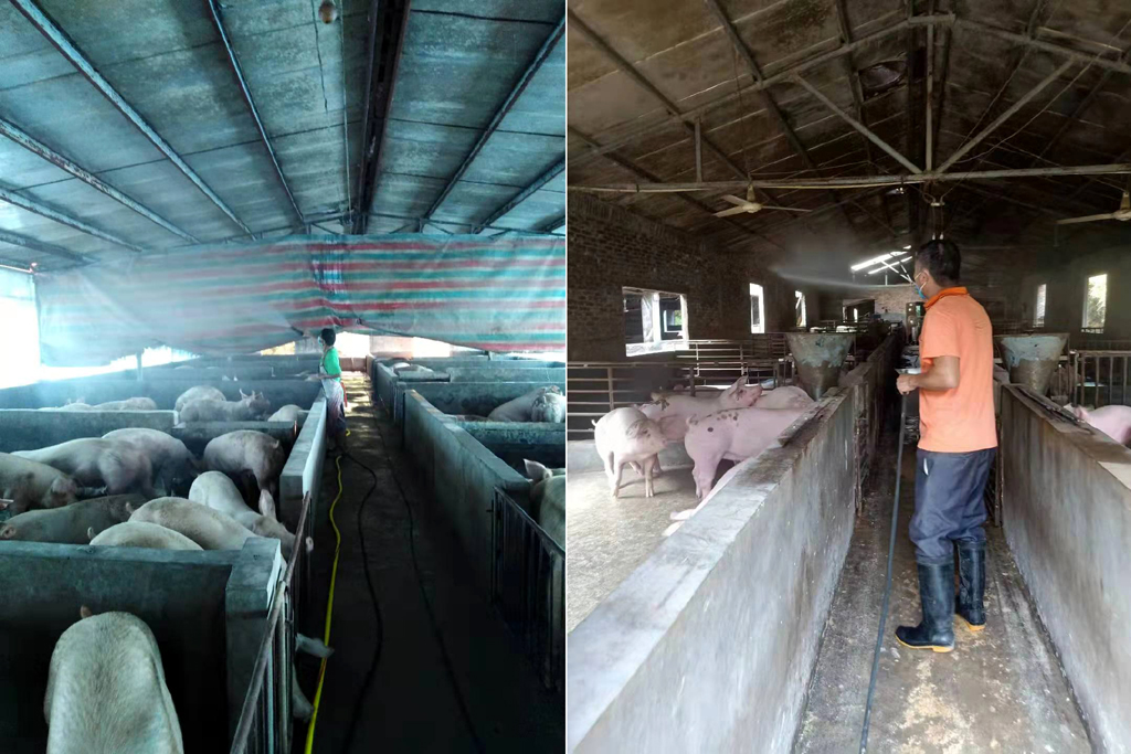 1568187047833018111.jpg C:UsersPPAPDesktop