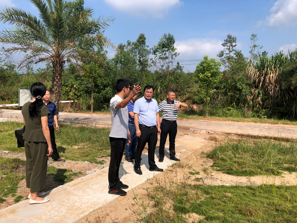 1571389756096073323.jpg 图片01.jpg