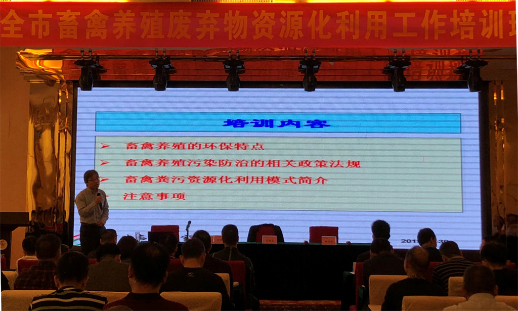 1572831252057047063.jpg 12.jpg