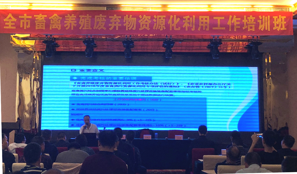 1572831258532032534.jpg 11.jpg