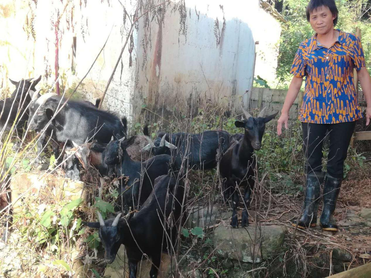 1520524147.png 1520524147.png