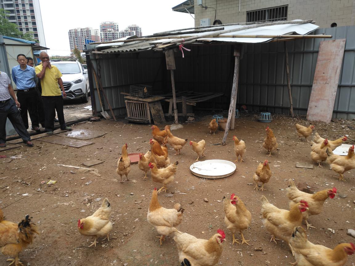 1520524114.png 1520524114.png